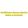 Cours de salsa Bruxelles pour débutants adultes